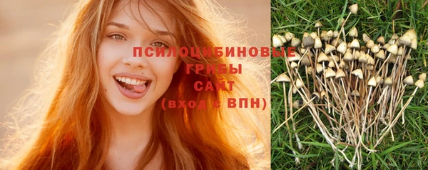 MDMA Premium VHQ Нея