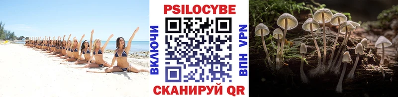 Псилоцибиновые грибы мицелий  где купить наркотик  Баймак 